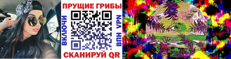 Галлюциногенные грибы Psilocybine cubensis hydra зеркало Приморско-Ахтарск